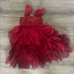 Elegant Red Sequin ombre  Tulle Dress
